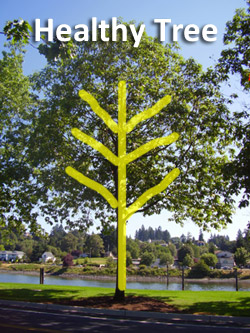 Healthy tree on Marine Drive